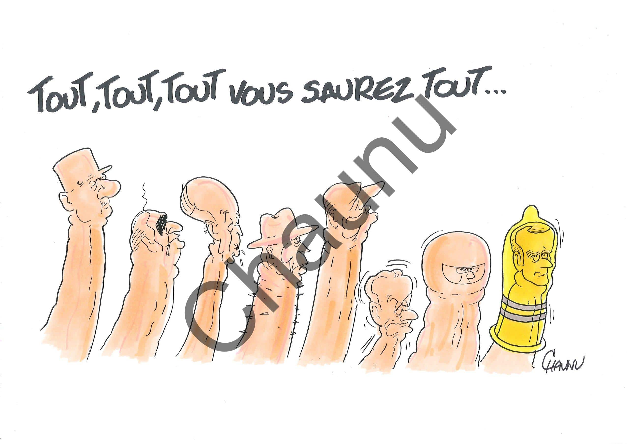 Dessin Zizis de la 5ème république - Chaunu show